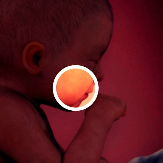 Фото плода на 31 неделе беременности