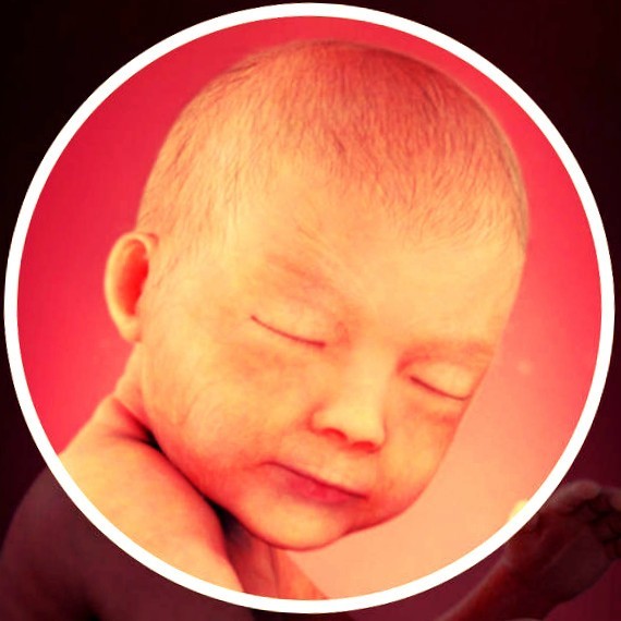 Фото плода на 30 неделе беременности