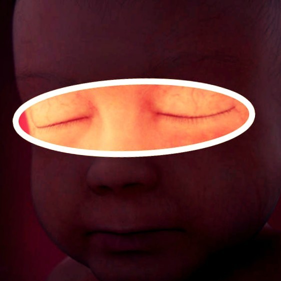 Фото плода на 28 неделе беременности