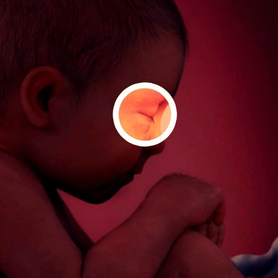 Фото плода на 38 неделе беременности