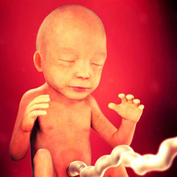 Фото плода на 22 неделе беременности