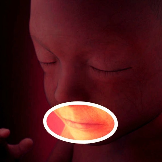 Фото плода на 21 неделе беременности