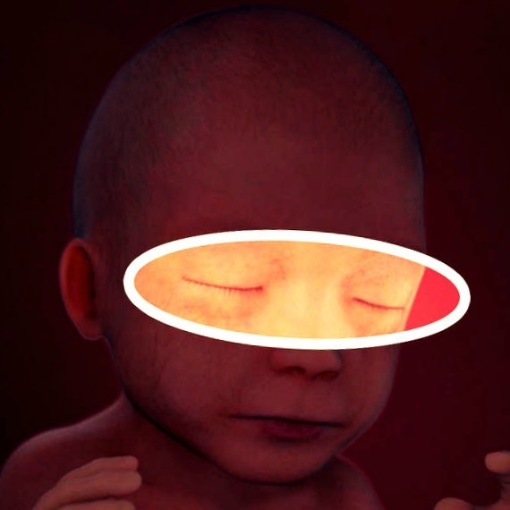 Фото плода на 22 неделе беременности