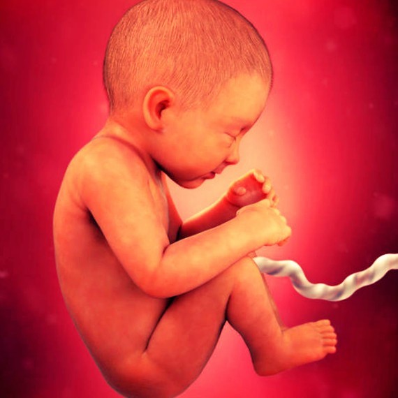 Фото плода на 34 неделе беременности