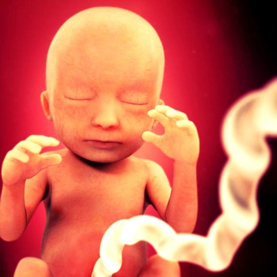 Фото плода на 18 неделе беременности