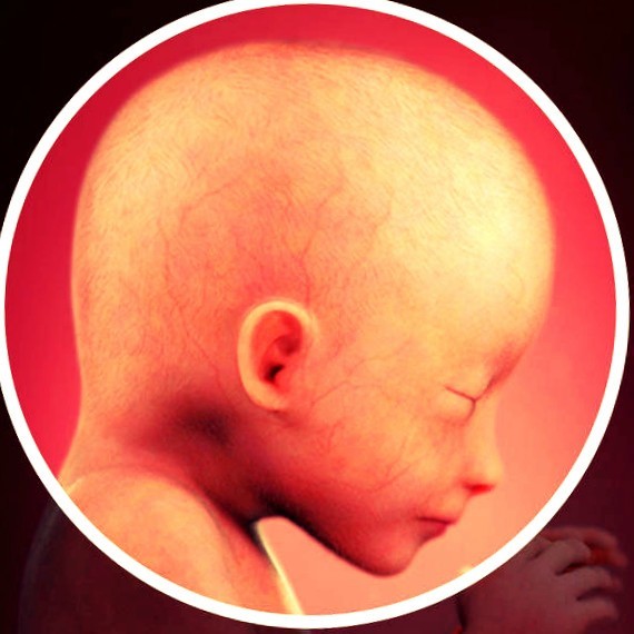 Фото плода на 19 неделе беременности