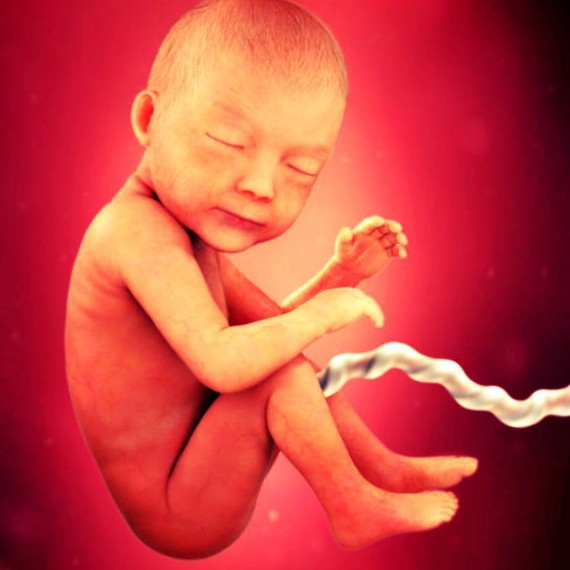 Фото плода на 30 неделе беременности