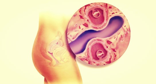 ФОТО. Близнецы на 4 неделе беременности