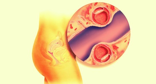 Фото близнецов на 3 неделе беременности