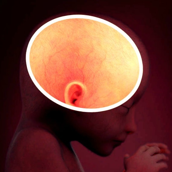 Фото плода на 19 неделе беременности