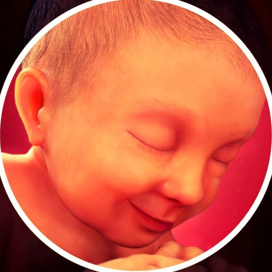 Фото плода на 37 неделе беременности