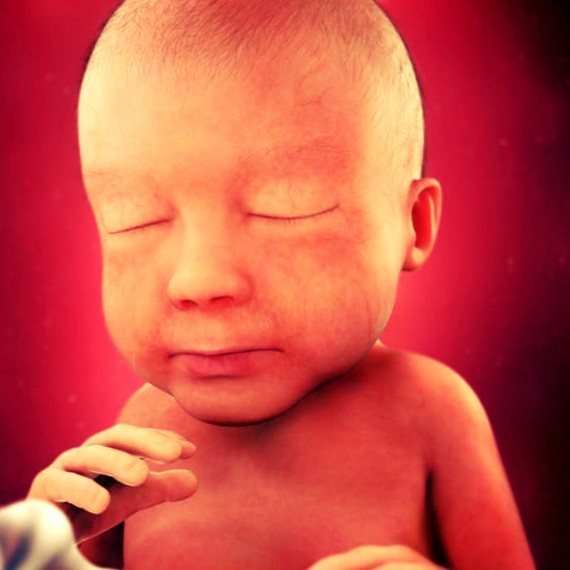 Фото плода на 28 неделе беременности