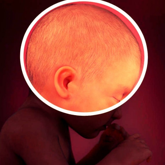 Фото плода на 32 неделе беременности