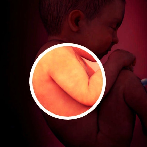 Фото плода на 39 неделе беременности