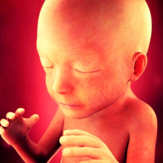 Фото плода на 21 неделе беременности