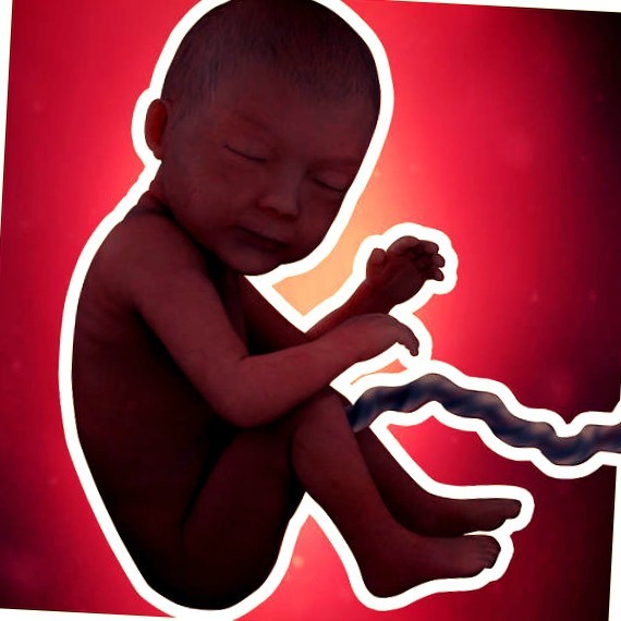 Фото плода на 30 неделе беременности