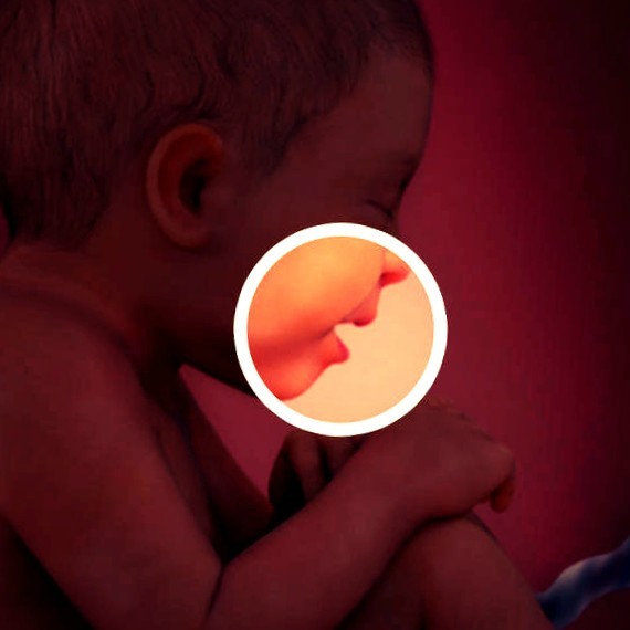 Фото плода на 36 неделе беременности