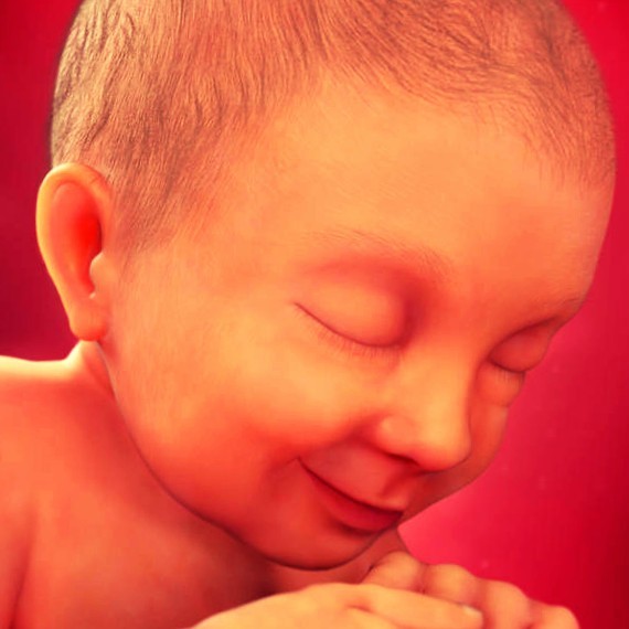 Фото плода на 37 неделе беременности