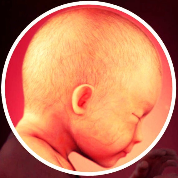Фото плода на 29 неделе беременности