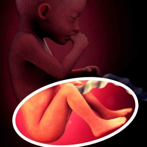 Фото плода на 20 неделе беременности