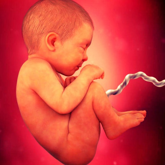 Фото плода на 40 неделе беременности