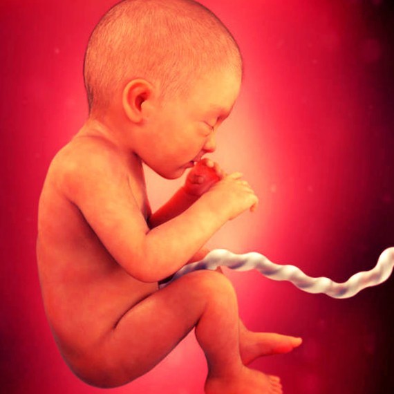 Фото плода на 32 неделе беременности