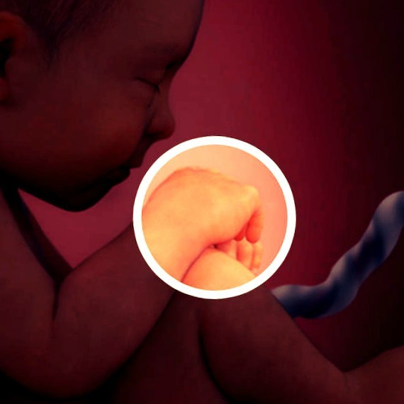 Фото плода на 38 неделе беременности