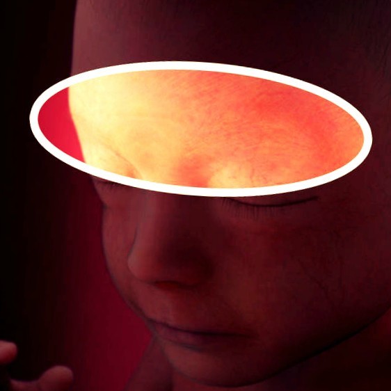 Фото плода на 21 неделе беременности