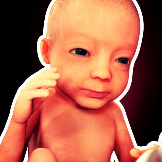 Фото плода на 27 неделе беременности