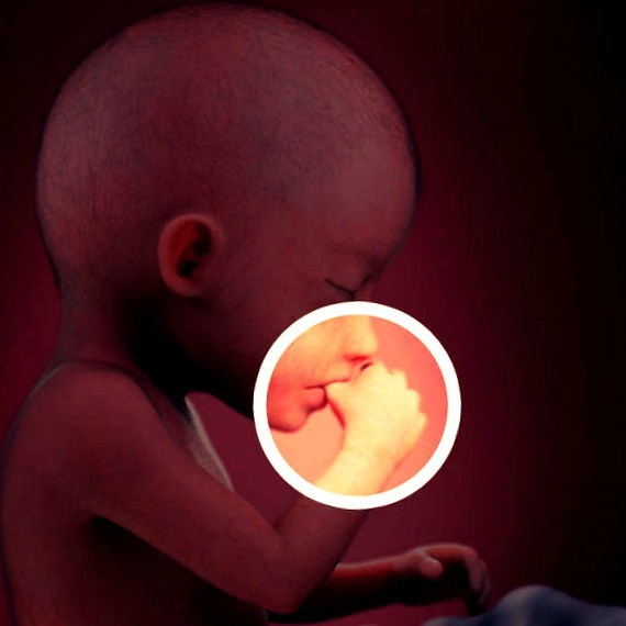 Фото плода на 20 неделе беременности