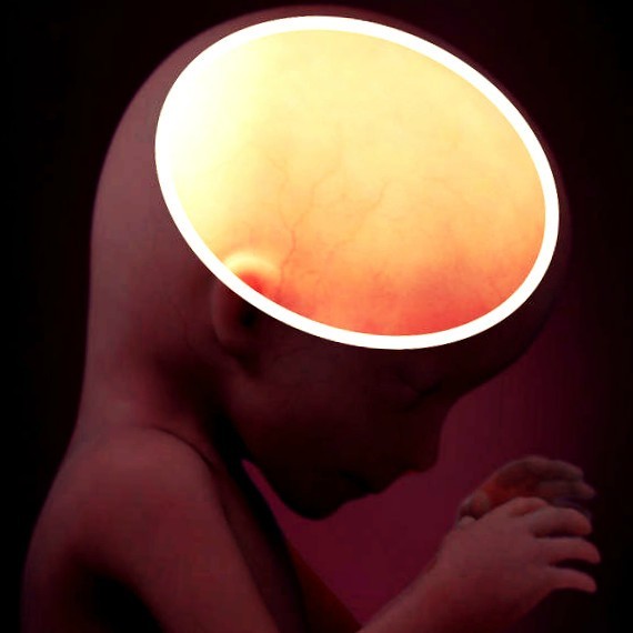 Фото плода на 16 неделе беременности