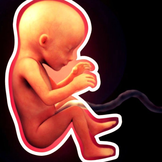 Фото плода на 17 неделе беременности