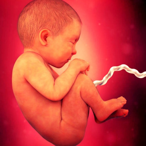 Фото плода на 39 неделе беременности