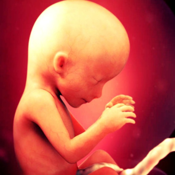 Фото плода на 16 неделе беременности