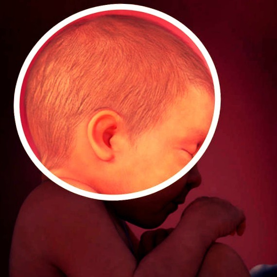 Фото плода на 40 неделе беременности