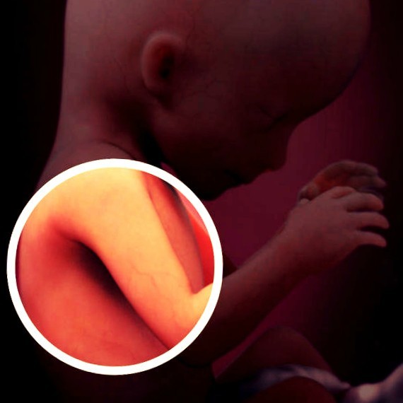 Фото плода на 16 неделе беременности