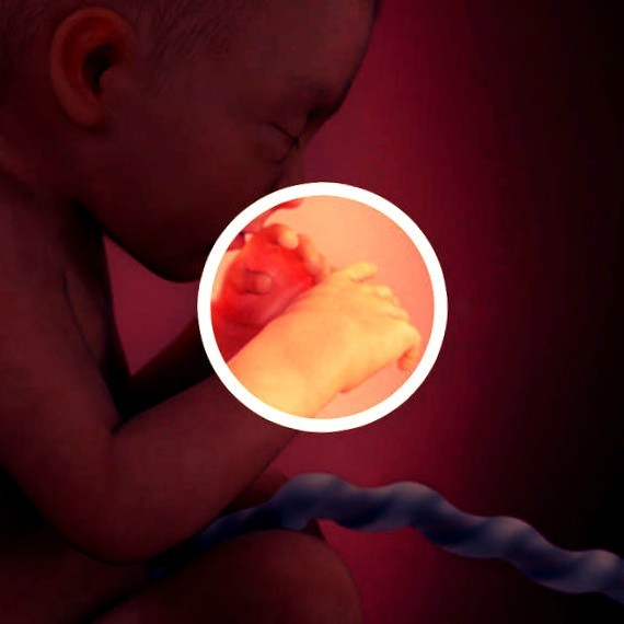 Фото плода на 32 неделе беременности